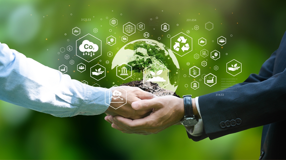 Accionistas e inversionistas